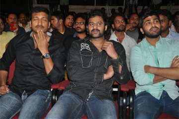 Run Raja Run Audio Launch